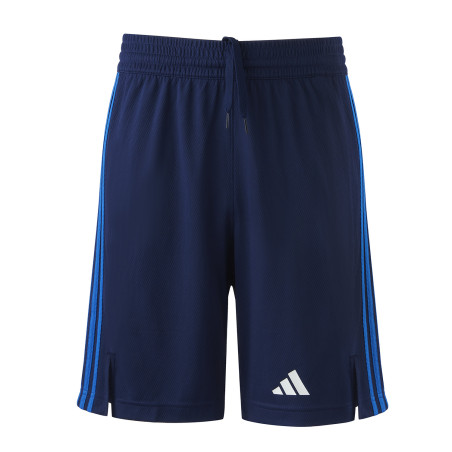 Short -Poter- LDLC ASVEL Homme 23-24