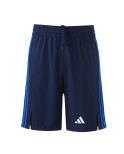 Short -Poter- LDLC ASVEL Homme 23-24