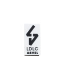 Magnet LDLC ASVEL